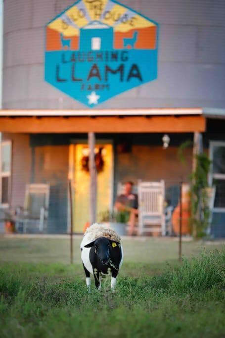 Silo House At Laughing Llama Farm Troy 外观 照片